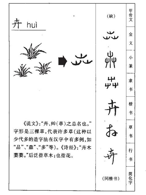 卉名字意思|卉字取名寓意